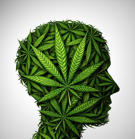 AdobeStock_2591293321resize