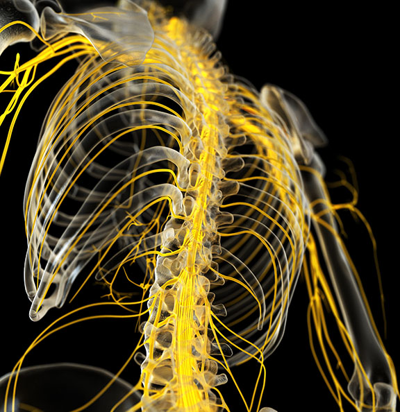 AdobeStock_259129332resize_1