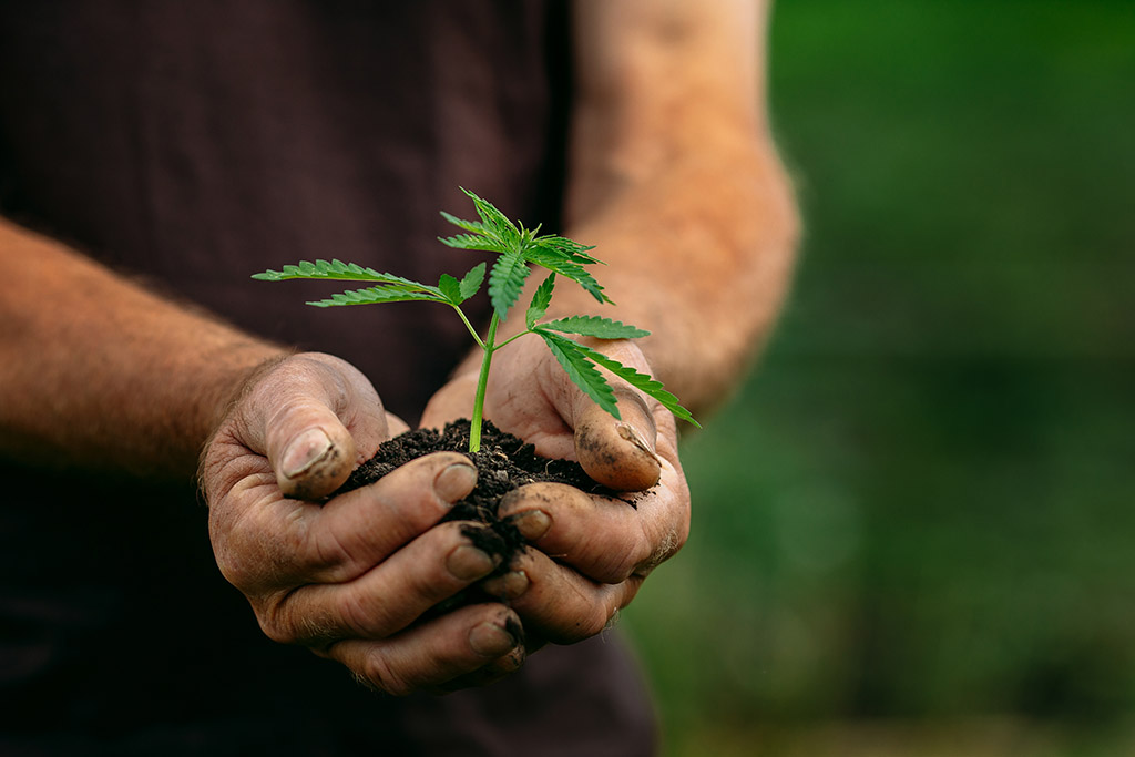 AdobeStock_281271870_1