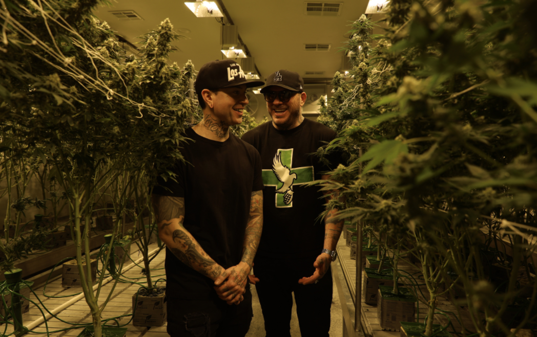 Screenshot_2021-03-12_at_12.45.25