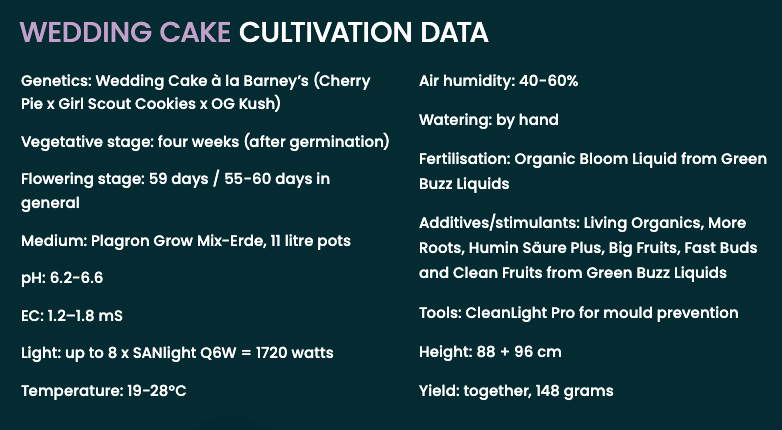 Screenshot_2021-09-14_at_13.49.54