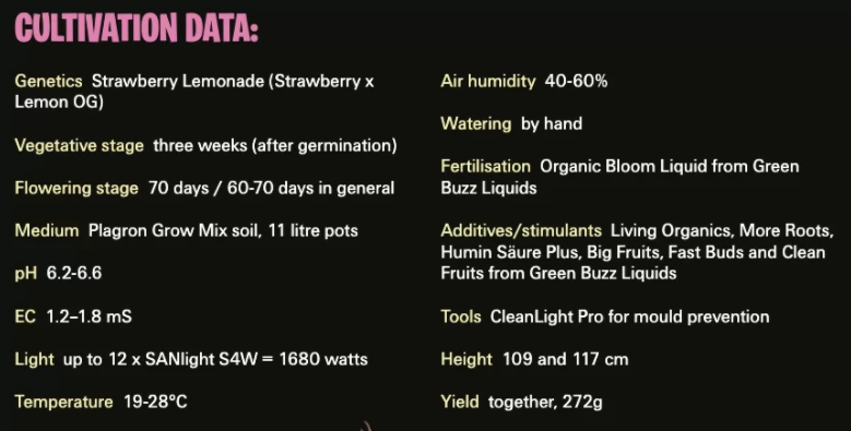 Screenshot_2021-11-12_at_11.28.36