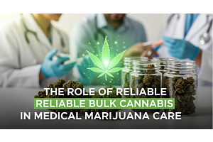 The Role of Reliable Bulk Cannabis in Medical Marijuana Care