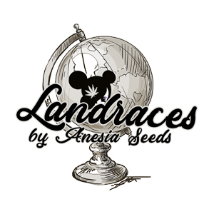 Landraces by Anesia Seeds