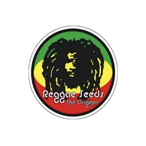 Reggae Seeds 
