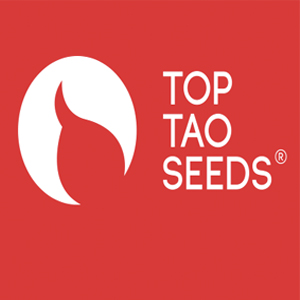 Top Tao Seeds 