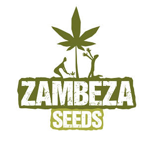 Zambeza Seeds 