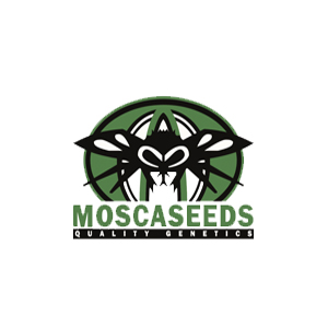 Mosca Seeds 