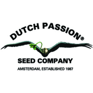 Dutch_Passion