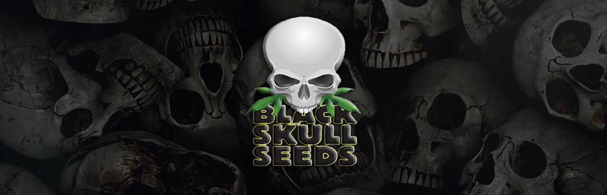 Black Skull Seeds 