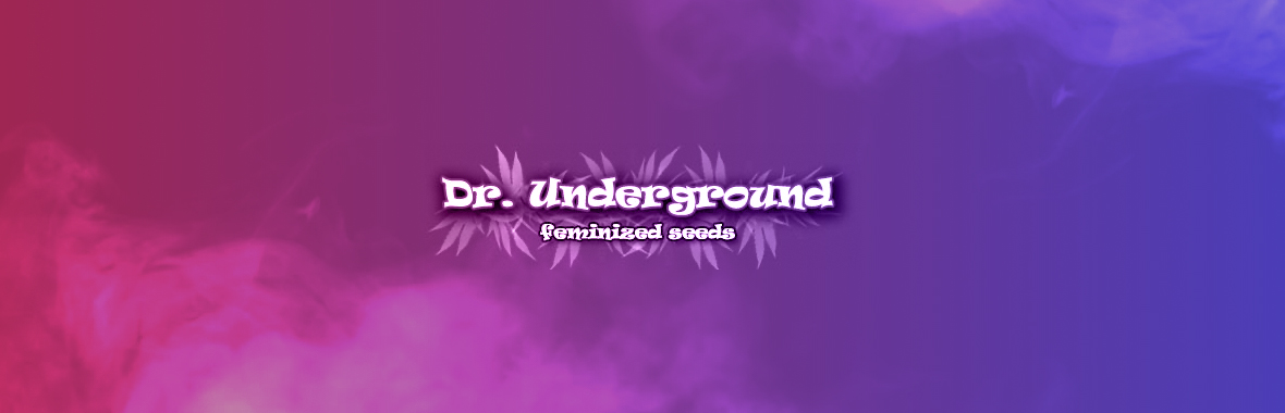 Dr. Underground Seeds