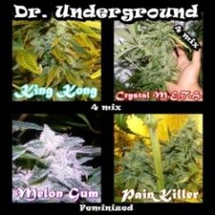 Dr Underground - Surprise Killer Mix (Fem)