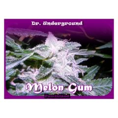 Dr Underground - Melon Gum (Fem)