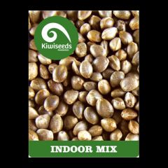 Kiwi Seeds - Indoor Mix regular cannabis seeds - indica/sativa hybrid marijuana strains ideal for indoor growing
