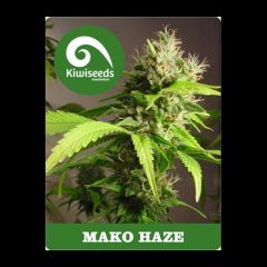 Kiwi Seeds - Mako Haze regular cannabis seeds - 70% sativa dominant marijuana strain with a grow time between 60-70 days