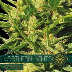 Vision Seeds - Northern Lights Auto (Fem)