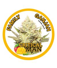 Family Ganjah Seeds - Critical Man (Fem)