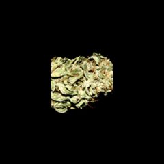 KC Brains - Brains Damage feminized cannabis seeds - indica/sativa hybrid marijuana strain with a flowering time between 8-10 weeks