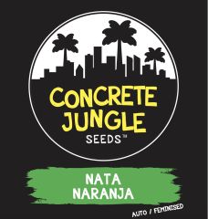 Concrete Jungle - Nata Naranja Auto (Fem)