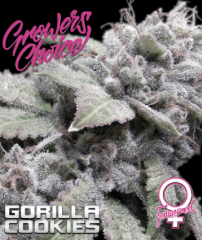 Growers Choice - Gorilla Cookies (Feminized)
