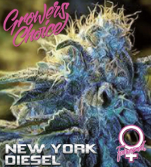 Growers Choice - New York Diesel (Feminized)