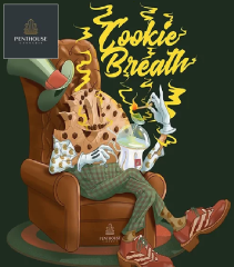 Penthouse Cannabis - Auto Cookie Breath (Feminized) 