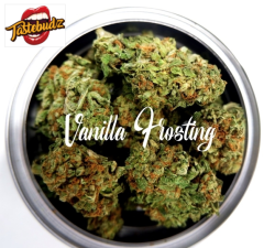 Tastebudz - Vanilla Frosting (Feminized) 