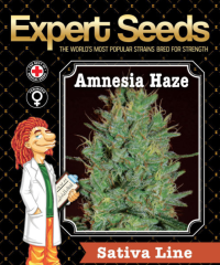 Experts Seeds - Amnesia Seeds (Feminized) 