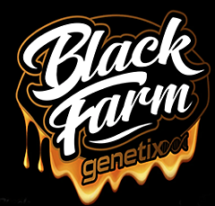 Black Farms - Banana Strippers