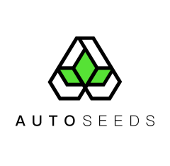 Auto Seeds - Auto Rainbow Glue (Feminized)