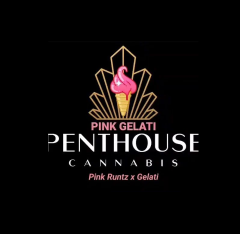 Penthouse Cannabis - Pink Gelati (Feminized)