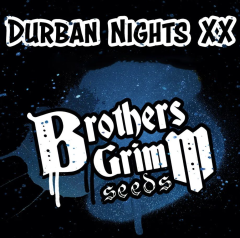 Brothers Grimm Seeds - Durban Nights XX (Feminized)