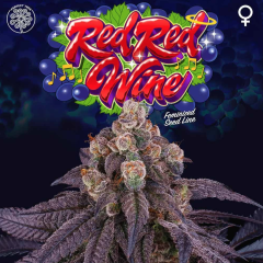 Perfect Tree - Red Red Wine (Feminized)