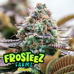 Frosteez Farmz - Slusheez (Feminized)
