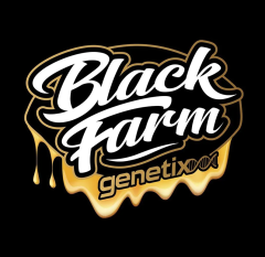 Black Farm Genetix - Sinaloa Cake (Feminized)