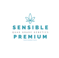 Sensible Seeds Premium - Mega Mouth (Feminized)