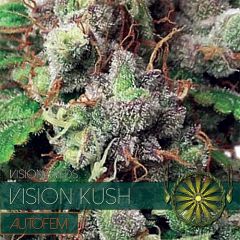 Vision Seeds - Vision Kush Auto (Fem)