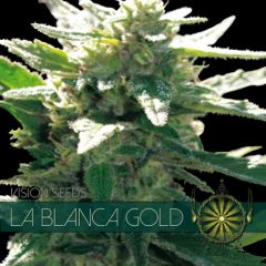 Vision Seeds - La Blanca Gold (Fem)