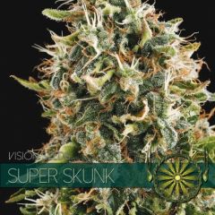 Vision Seeds - Super Skunk (Fem)