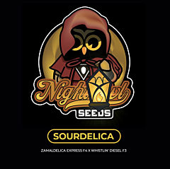 Night Owl Seeds - Sourdelica Auto (Feminized)