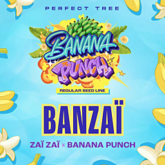 Perfect Tree - Banzai (Regular)