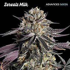 Advanced Seeds - Zerealz Milk (Feminised)
