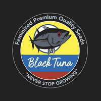 Black Tuna Seeds