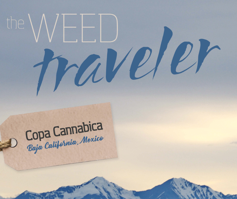 The Weed Traveler, Copa Cannabica, Baja California, Mexico, By Sharon Letts