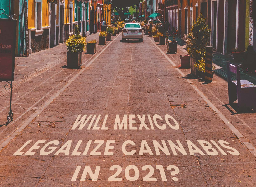 Will Mexico Legalize cannabis in 2021?, By Dario Sabaghi 