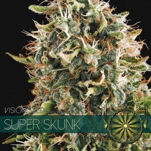 Vision Seeds - Super Skunk (Feminized)