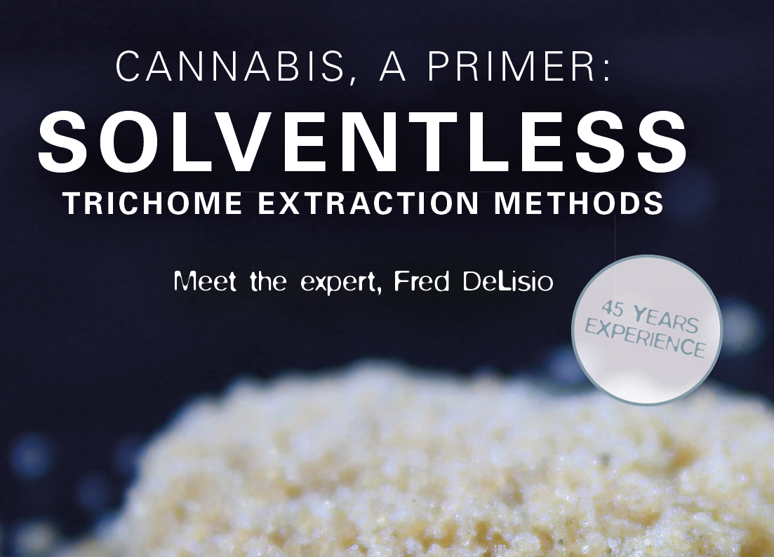 Cannabis, A Primer: Solventaless Trichome Extraction Methods, Meet the expert, Fred Delisio 