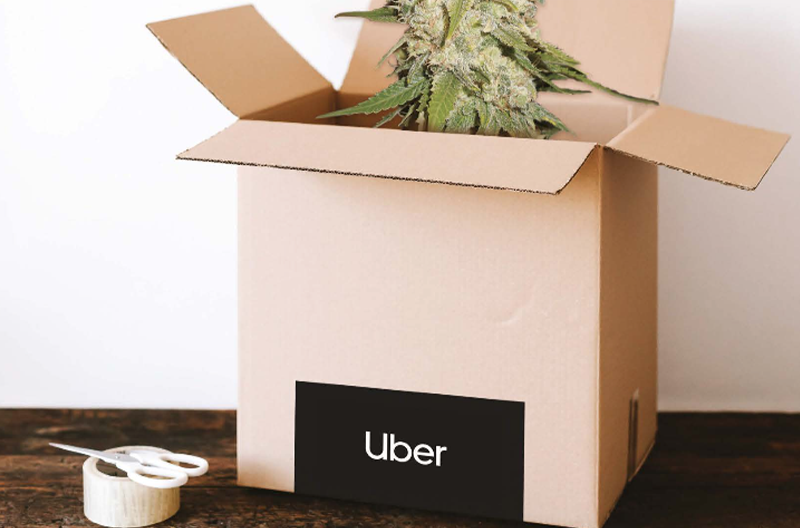 Cannabis Delivery Services, By Bethan Bee Rose