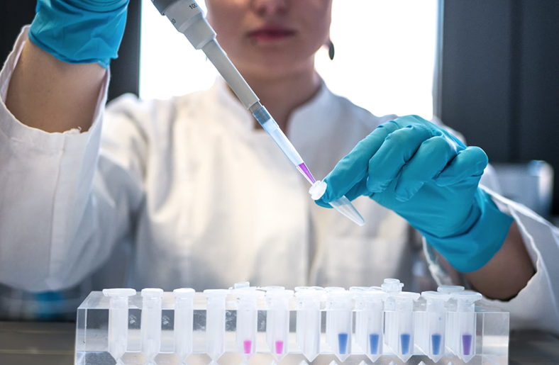 Cannabis Compound Inhibits Liver Cancer Grow, By Bethan Bee Rose