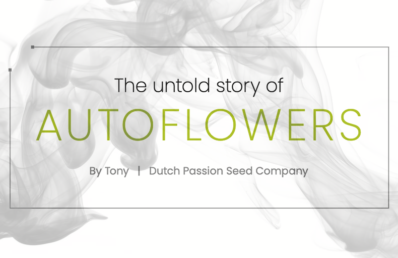 The untold story of Autoflowers, By Tony Dutch Passion Seed Company